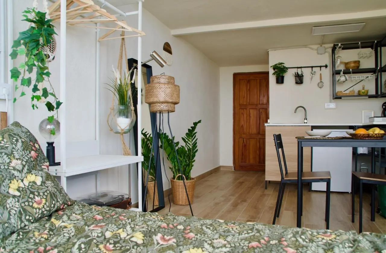 El Estudio De Jessica La Laguna  Spain